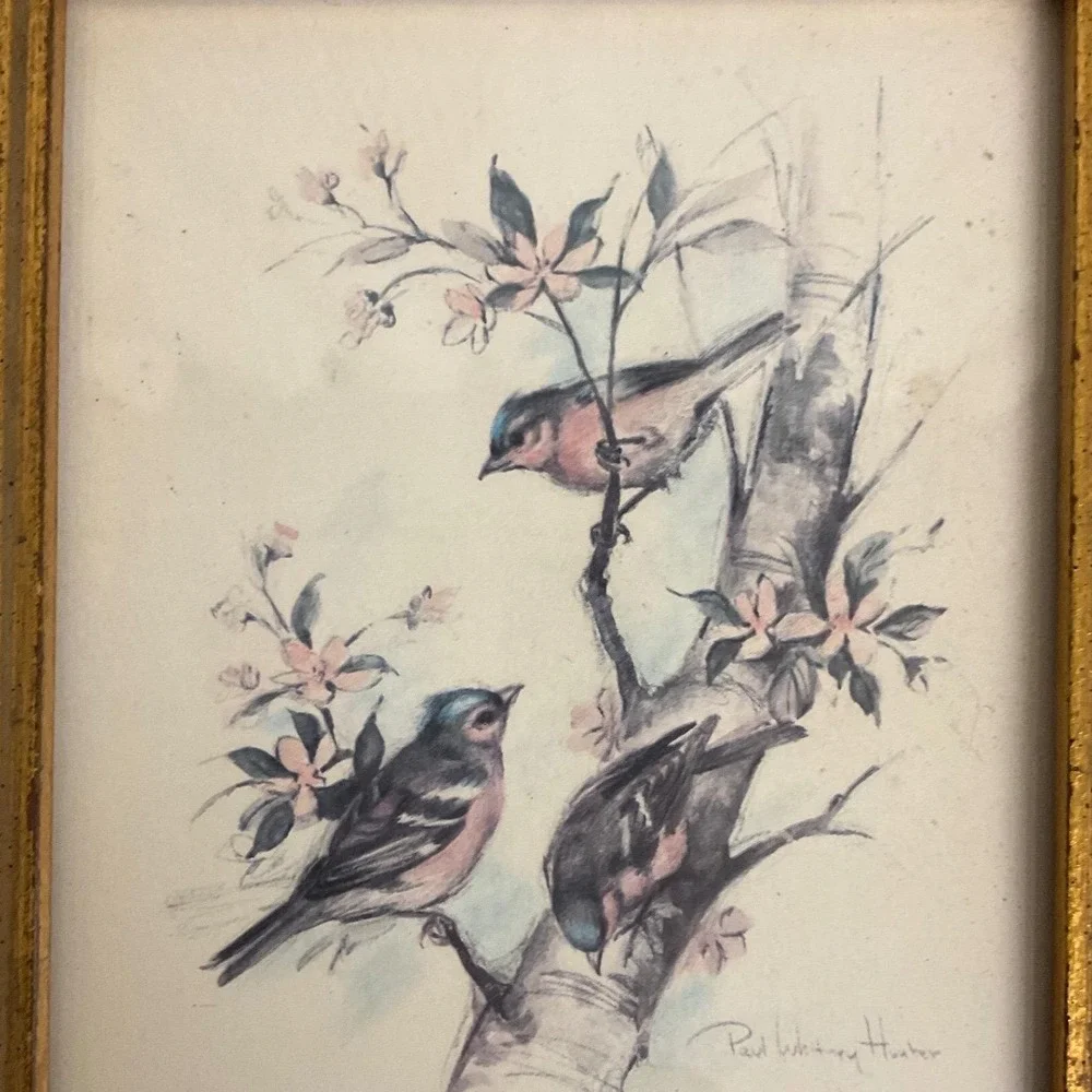 Vintage Paul Whitney Hunter Framed Bird Prints Set of 2 Cardinals Songbirds Gold